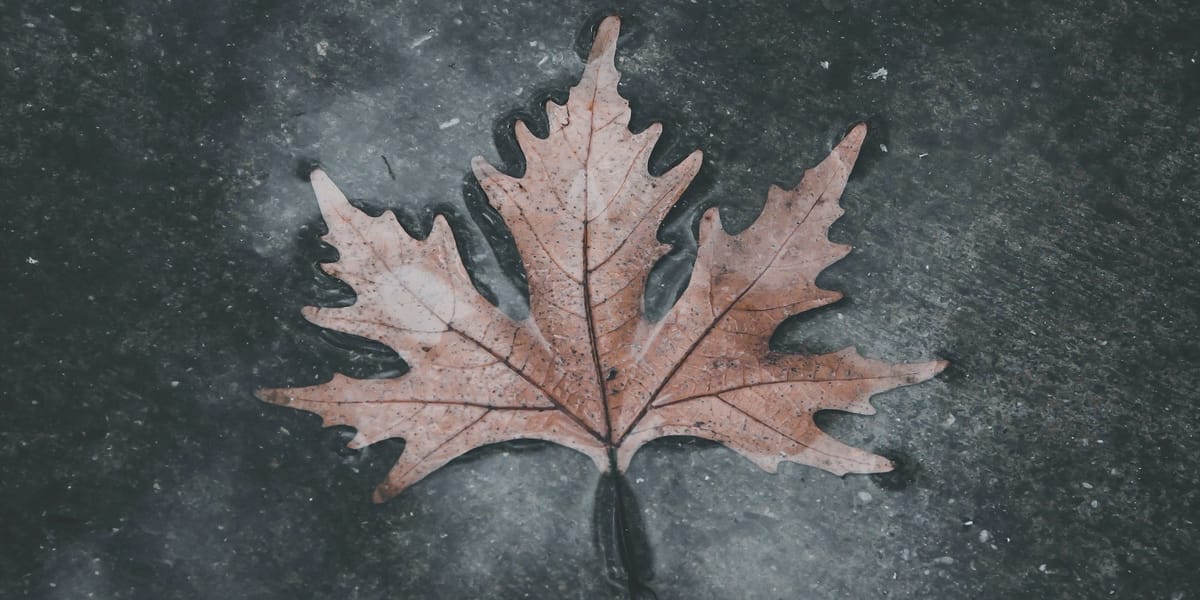 Canada's Mental Health Crisis: Understanding the Numbers Behind Our Collective Wellbeing