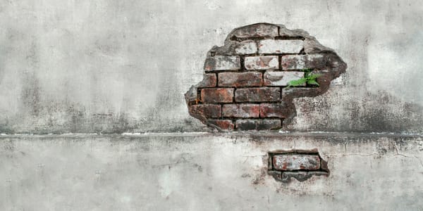 Mental Health in Canada: Where We've Been, Where We're Headed