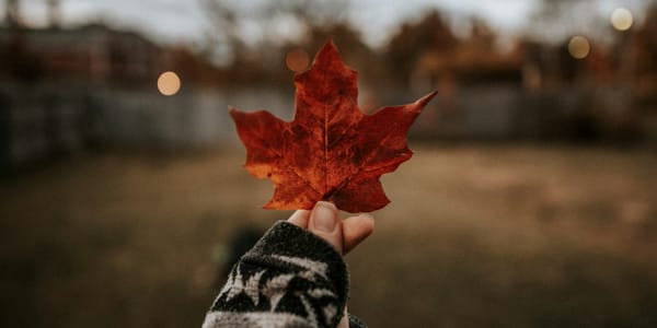 The Future of Therapy in Canada: Trends and Insights for 2025